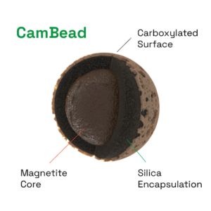 Caorbxylated magnetic beads