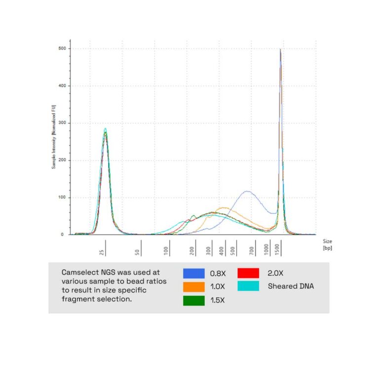 Ampure alternative camselect