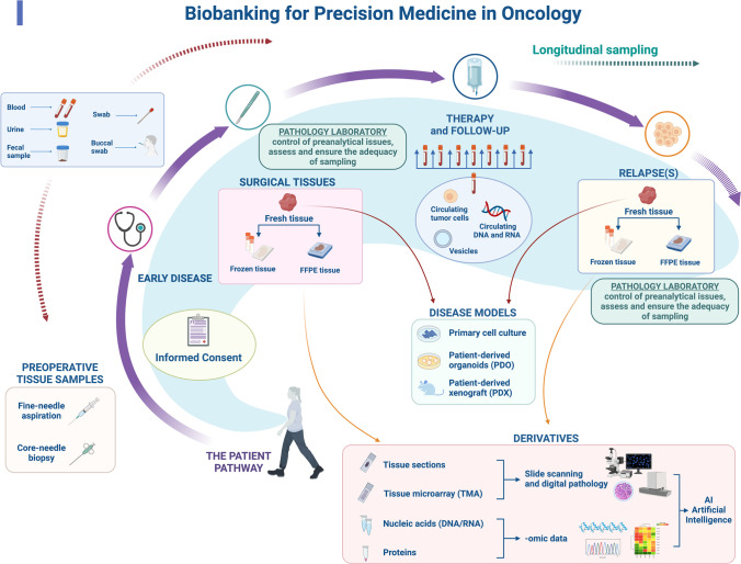 Biobanking for precision medicine in oncology. Practical example of the potential of biobanking for precision medicine in oncology. The pathway of a given patient is illustrated depicting the possible contribution of biobanking in the patient’s clinical history, either in early or advanced disease stage.